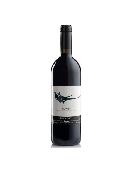 Magnum Barolo Dagromis 2013 Gaja