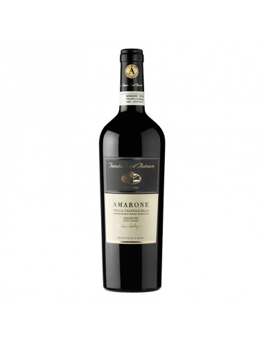 Magnum Amarone della Valpolicella  DOCG Selezione Antonio Castagnedi 2013 Tenuta Sant'antonio