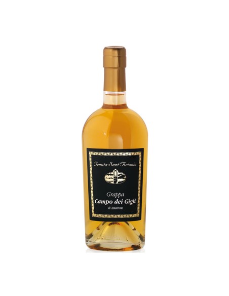 Grappa di Amarone Campo dei Gigli Tenuta Sant'Antonio cl. 50