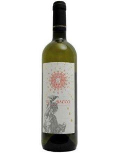 Il Bacco Verdicchio dei Castelli di Jesi DOC Classico Superiore 2018 Fattoria Coroncino