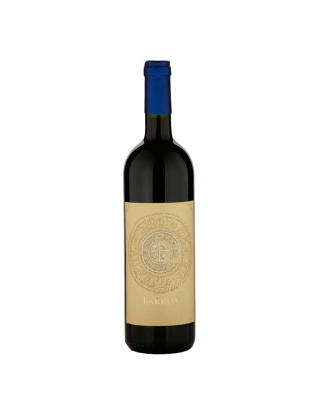 Magnum Isola dei Nuraghi Barrua 2013 AgriPunica