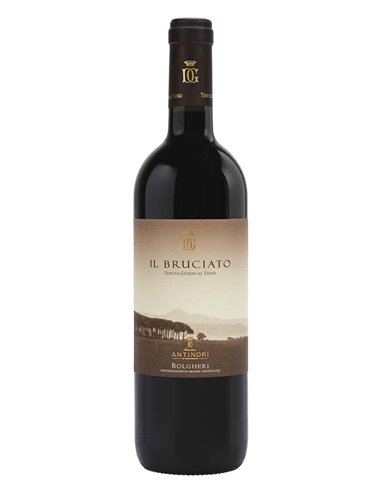 Magnum Il Bruciato Bolgheri DOC 2023 Tenuta Guado al Tasso 