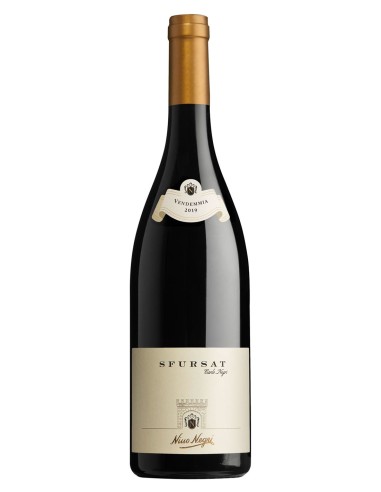 Sfursat Carlo Negri Sforzato di Valtellina DOCG 2019 Nino Negri 