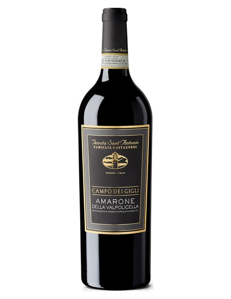 Amarone della Valpolicella DOCG Campo dei Gigli 2017 Tenuta Sant'Antonio