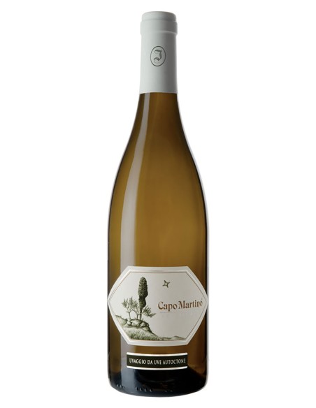 Capo Martino Venezia Giulia IGT 2021 Jermann