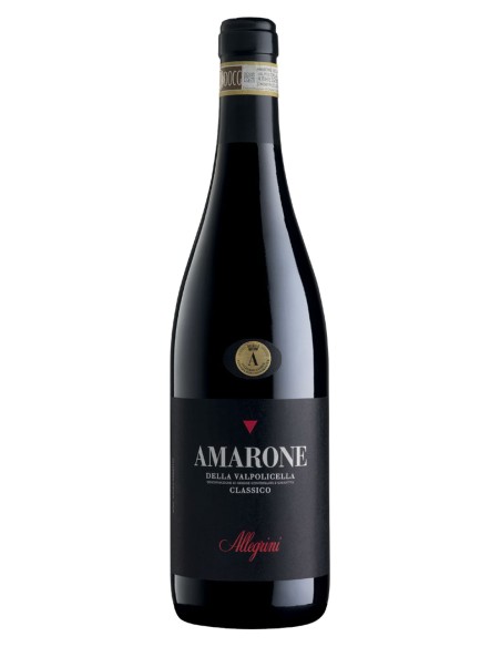 Amarone della Valpolicella Classico DOCG 2021 Allegrini