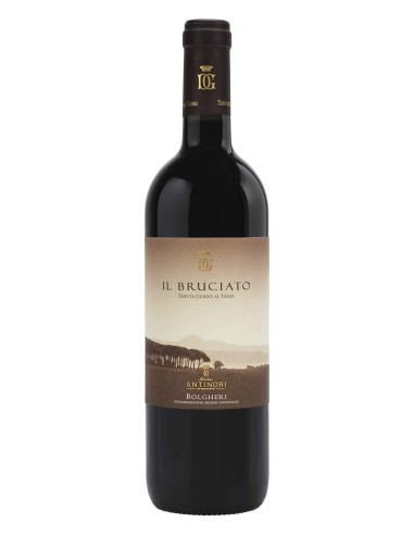 Il Bruciato Bolgheri DOC 2024 Tenuta Guado al Tasso  Enoteca Guerini