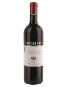 Barbera d'Alba 2024 Pio Cesare