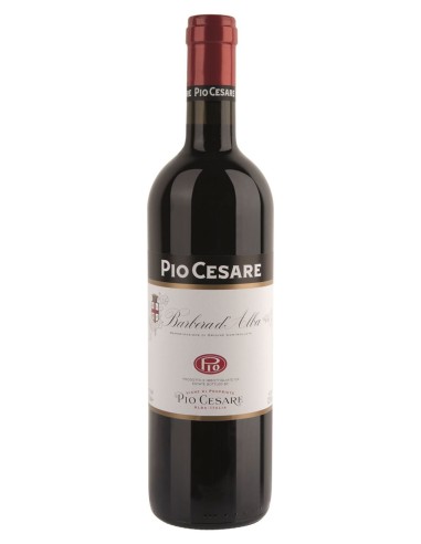 Barbera d'Alba 2024 Pio Cesare
