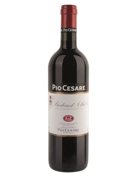 Barbera d'Alba 2024 Pio Cesare