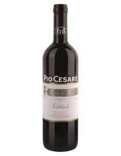 Langhe Nebbiolo 2023 Pio Cesare