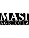 Masi